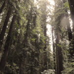 Liv's Leadership Lessons