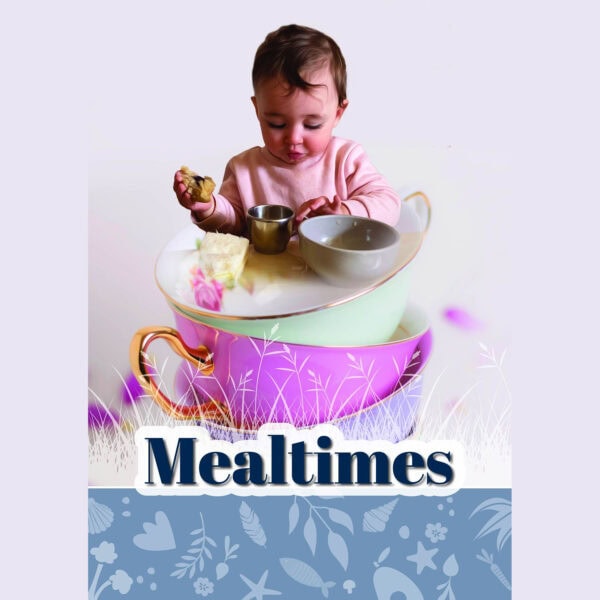 Mealtimes eBook