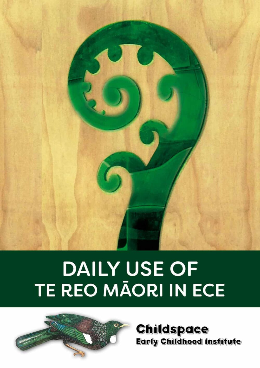 Daily Use of Te Reo Māori in ECE