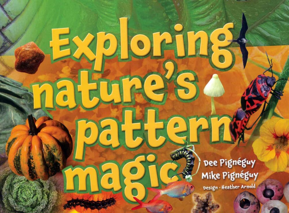 Exploring Natures Pattern Magic book for ECE