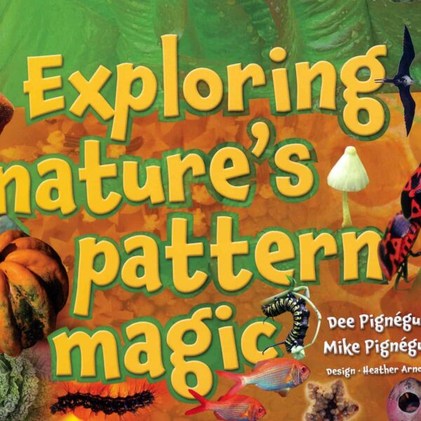 Exploring Natures Pattern Magic book for ECE